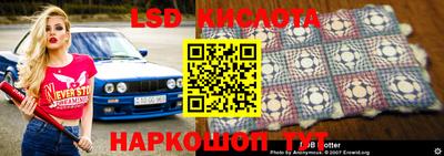 ПСИЛОЦИБИНОВЫЕ ГРИБЫ Заволжье