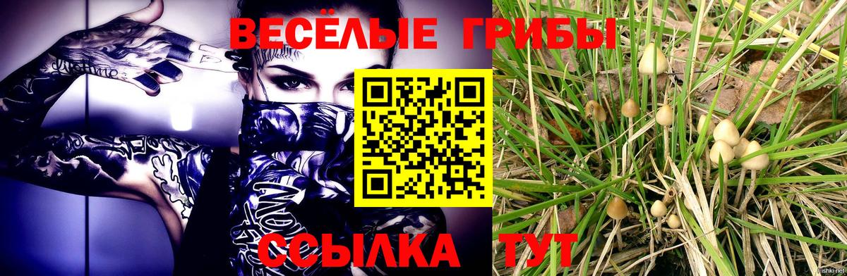 Галлюциногенные грибы мицелий Бугульма